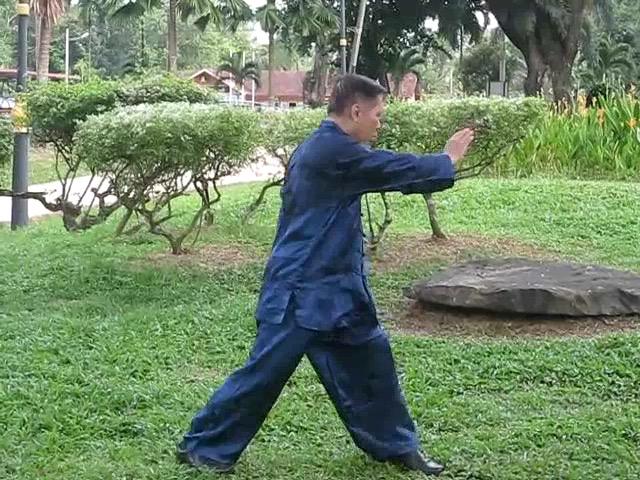 Wu Yu Xiang Style Taijiquan